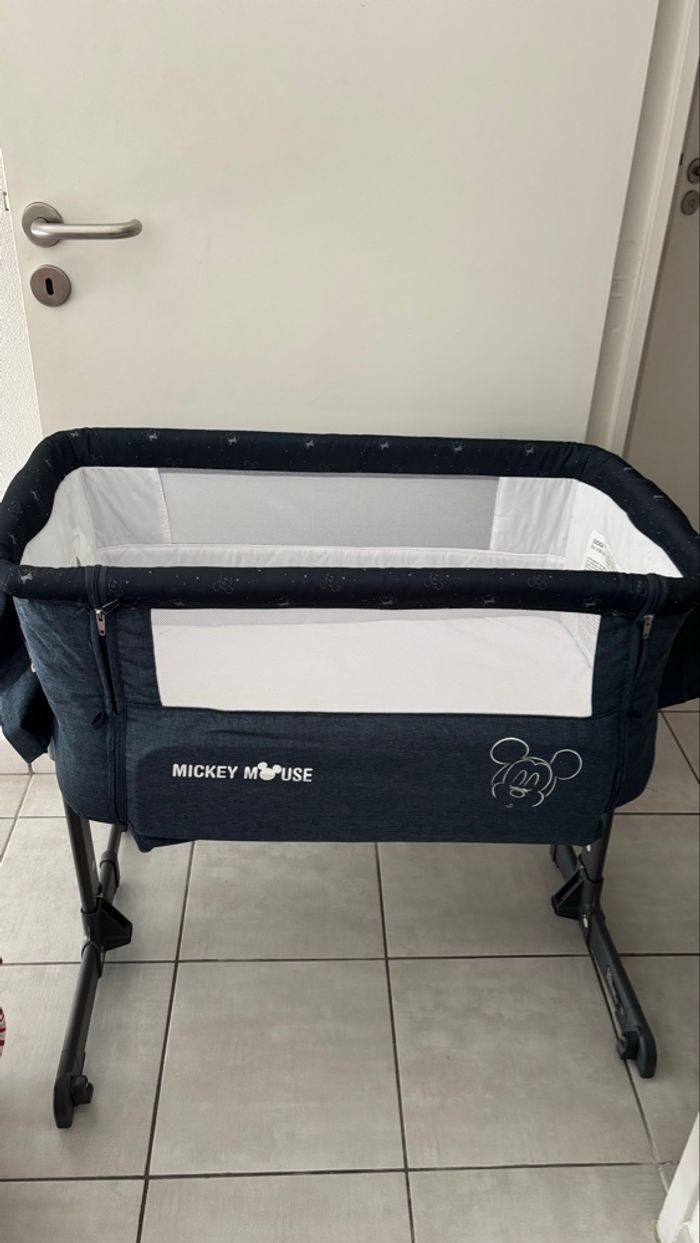 Cododo Mickey - photo numéro 2