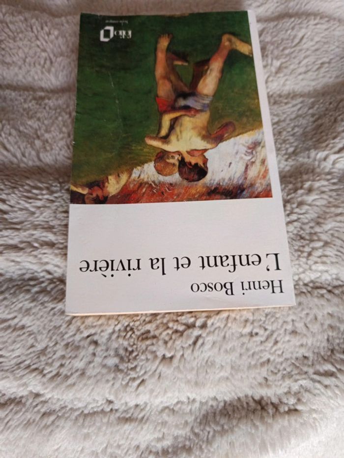 L'enfant et la rivière - photo numéro 5