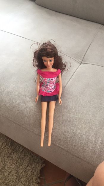 Barbie brune