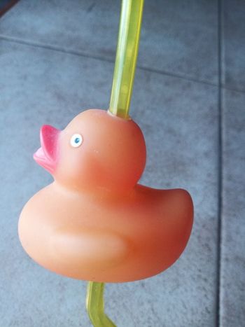 Paille amusantes canard