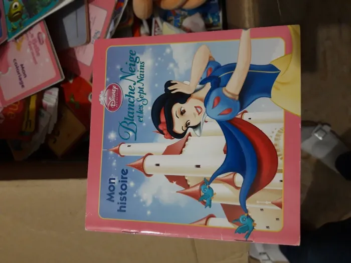 Lot de petit livre disney