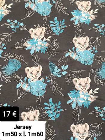 Jersey lionceau fond noir