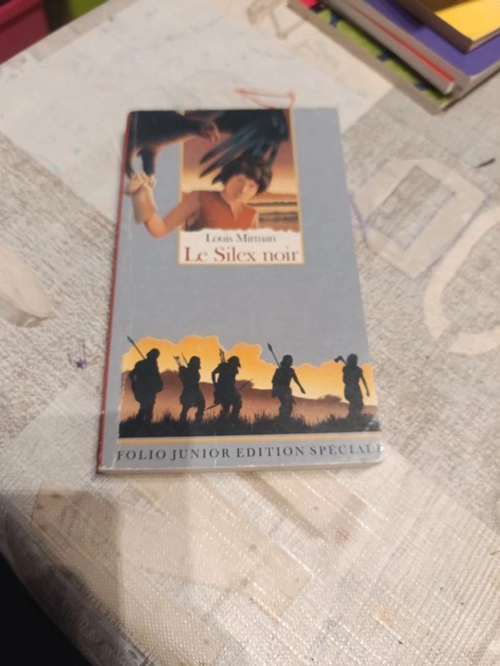 Le silex noir de Louis mireman