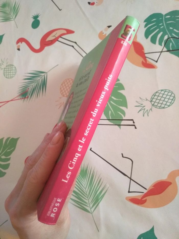 Livre Le Club des Cinq - photo numéro 3