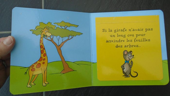 Joli livre sur les animaux avec volets à soulever - photo numéro 4