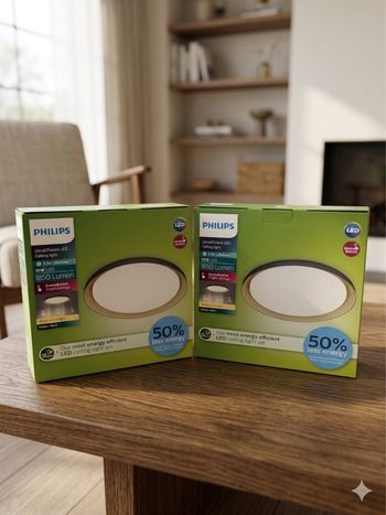 Lot de 2 Plafonniers LED Philips Pebblo Plafonnier Noir 10W 2700K – Neuf & Garantie 2 ans