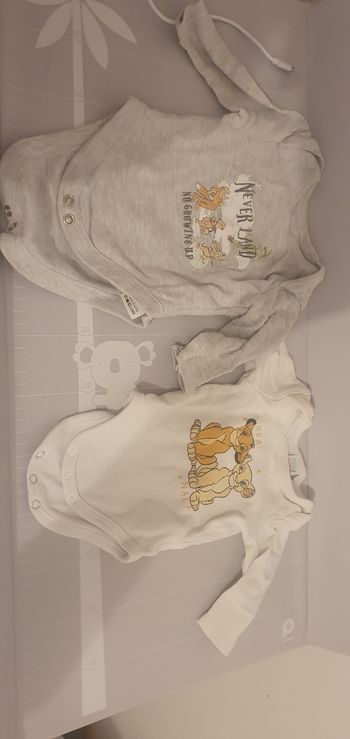 2 bodies Walt dysney