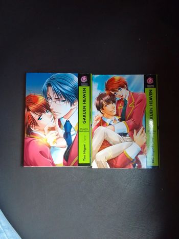 Lot Gakuen heaven (Public averti)
