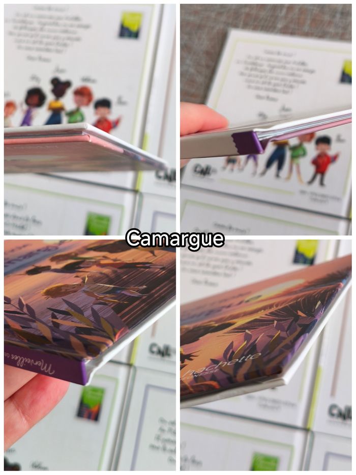 6 livres merveilles de france - photo numéro 10