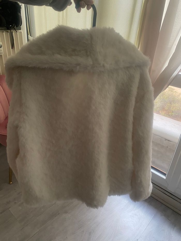 Manteau fourrure - photo numéro 3