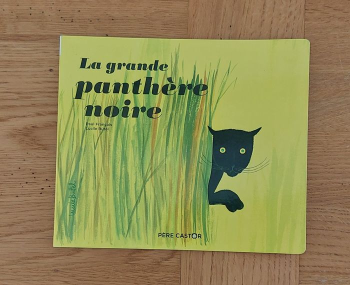 La grande panthère noire - Flammarion