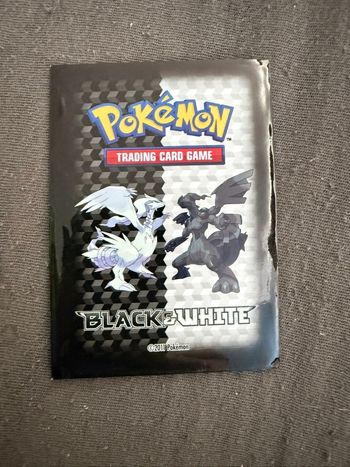Nidorino 1995