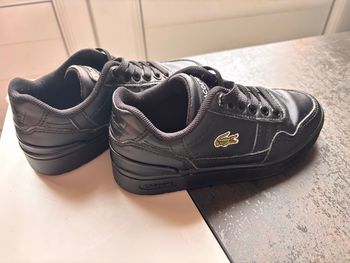 Chaussures Lacoste