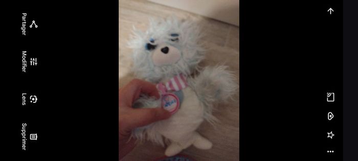 Peluche phoque scruff luvs
