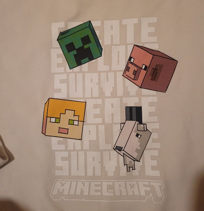 Pull MineCraft 12 ans - photo numéro 2