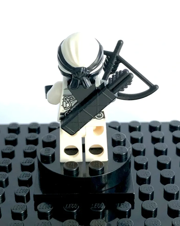 LEGO Ninjago - Zane, Hunted - photo numéro 4