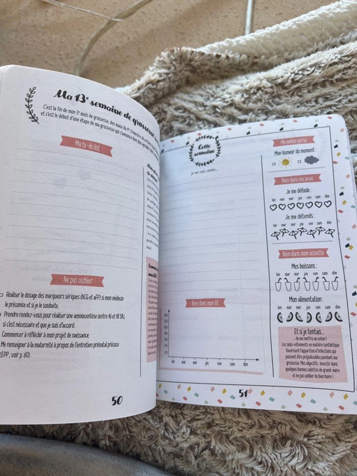 Petit journal de ma grossesse - photo numéro 7