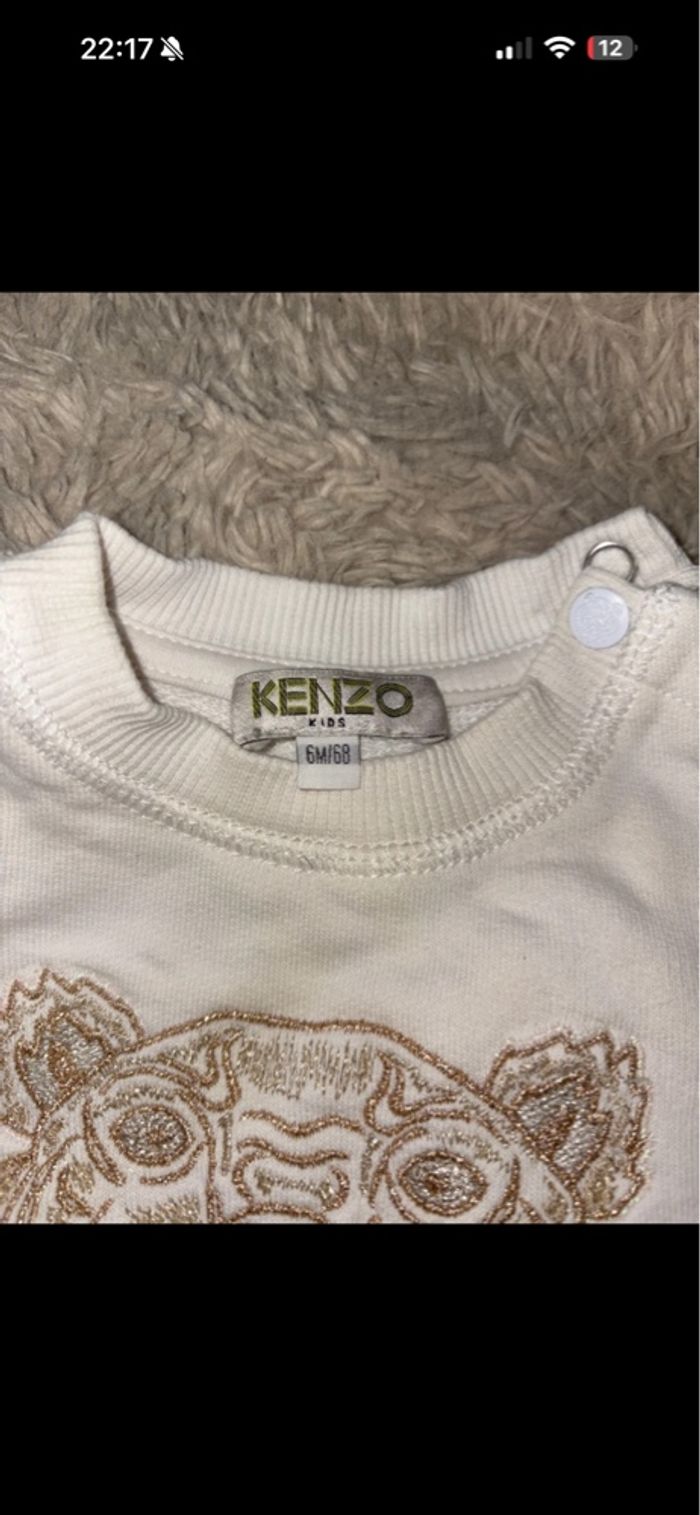 Pull - photo numéro 2