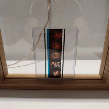 Pellicule démon slayer tanjiro