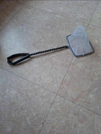 Épuisette pour poisson