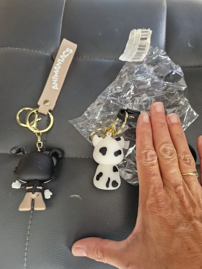 2 portes clefs animaniacs  avec crochets neuf - photo numéro 4