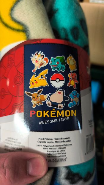 Plaid pokémon