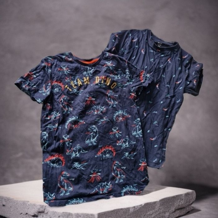 Lot de 2 t-shirts Dino Exotic