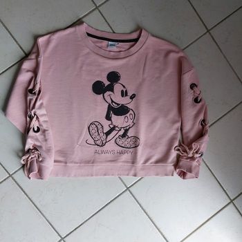 Pull Mickey Disney
