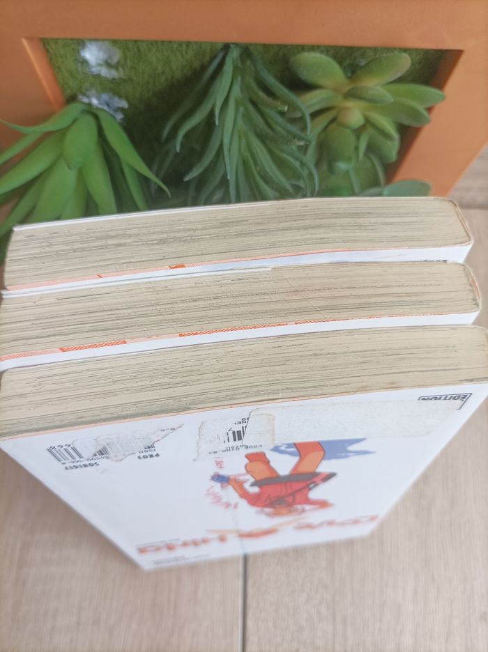 Lot 3 mangas Love Hina numéro 1 a 3 pika - photo numéro 9