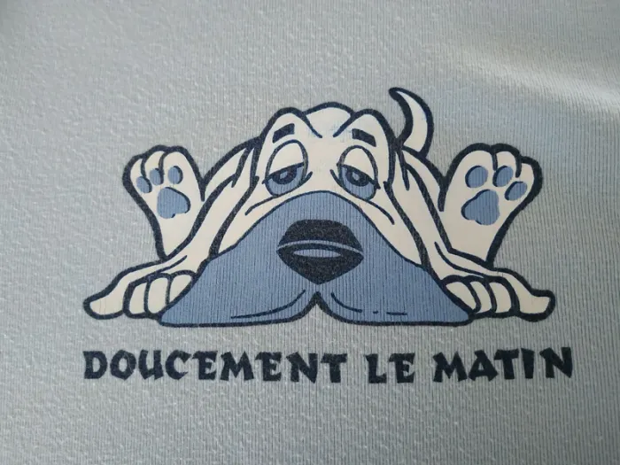 T-shirt motif chien recto/verso - photo numéro 3