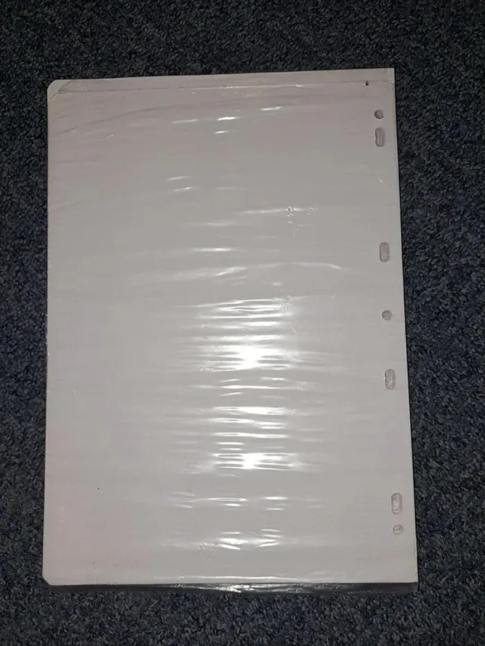 Lot de 2 Paquets + 1 Commencé de Papier à Dessin Blanc Perforé A4 - Auchan - photo numéro 2