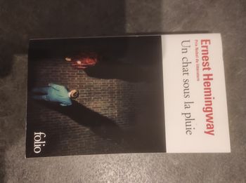 Un chat sous la pluie Ernest Hemingway - Folio 2017 