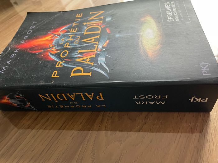 La prophétie du paladin - photo numéro 2