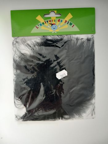 Plumes noires diy déco ou loisirs creatifs