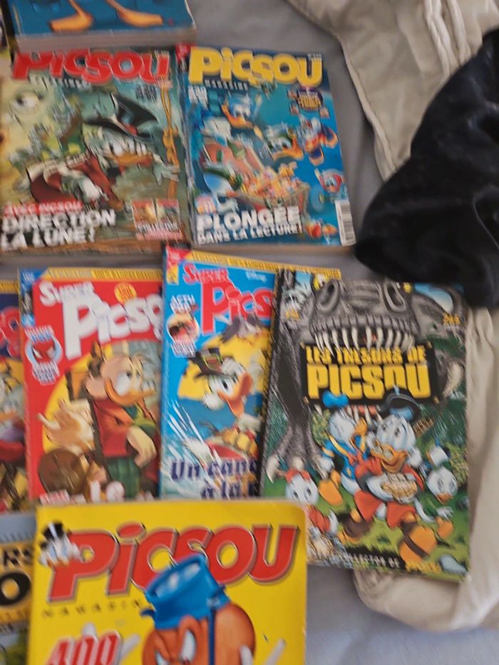 Lot picsou - photo numéro 5