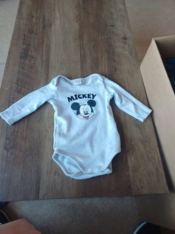 Bodies mickey
