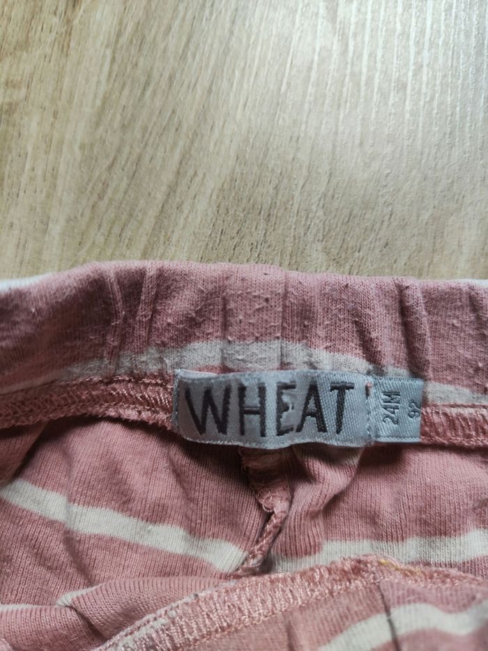Pantalon jogging wheat 24 mois - photo numéro 3