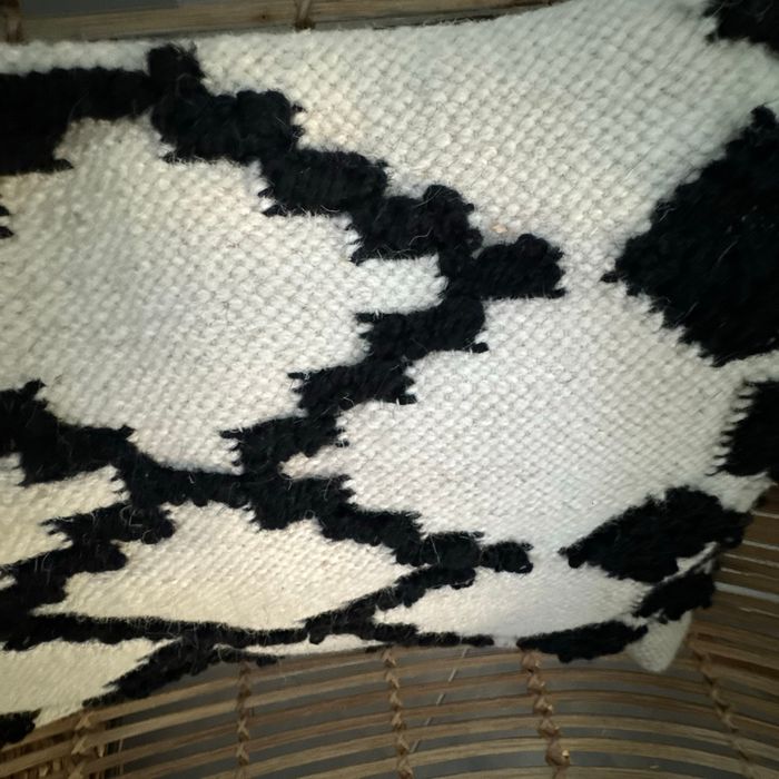 Coussin Maisons du Monde - photo numéro 5