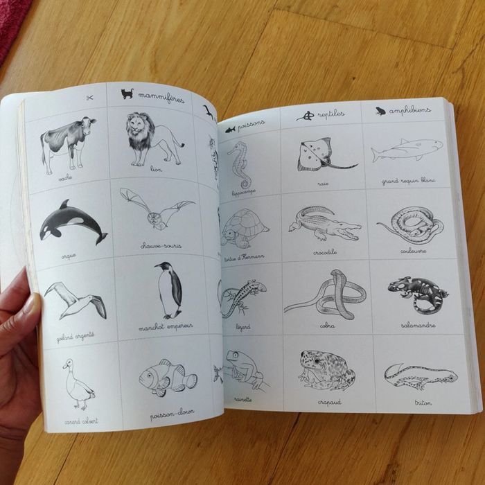 Lot livres activités 4/7 Ans - photo numéro 10