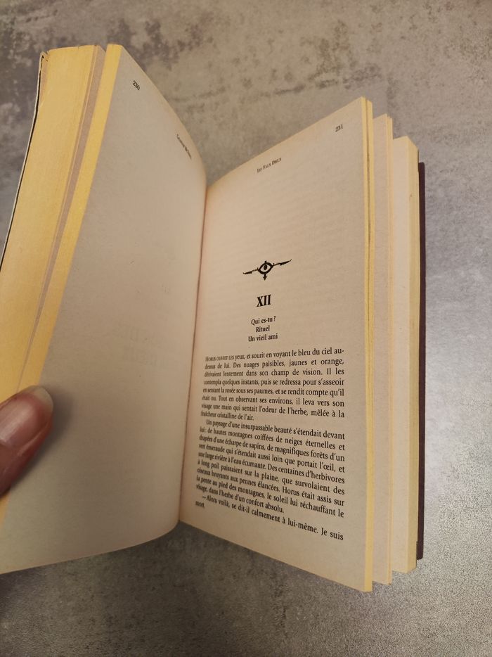 Livre les Faux Dieux - photo numéro 6