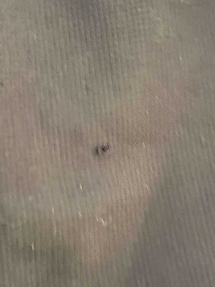 Short artengo 5 ans - photo numéro 2