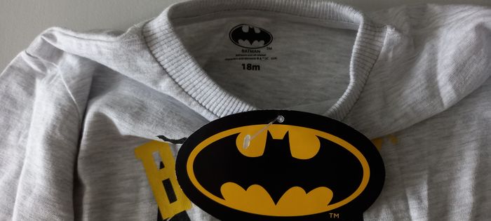 Pull léger Batman - photo numéro 2