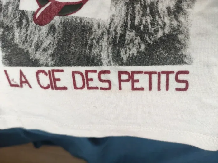 Ensemble tee shirts pantalon - photo numéro 7