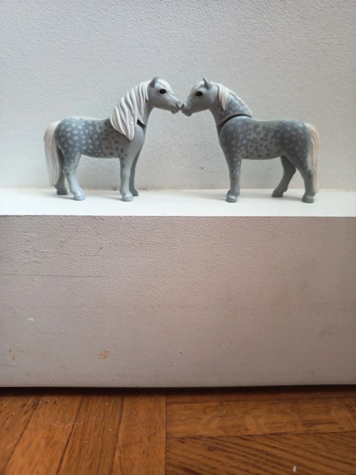 2 poulains gris playmobil
