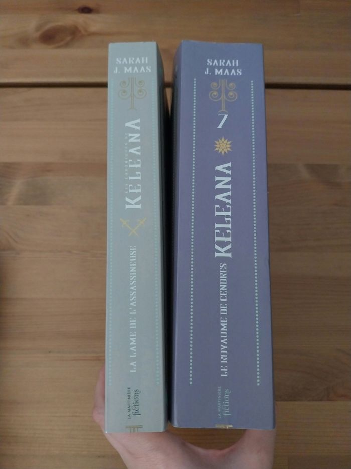 Romans Keleana tomes 7 Le Royaume de Cendres + Préquel 0.5- Sarah J. Maas La Martinière - photo numéro 2