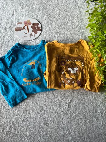 Lots de 2 tee shirt à longue manche bébé garçon