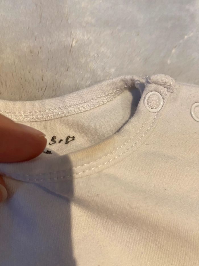 Lot de 7 bodies manches courtes 6 mois - photo numéro 15