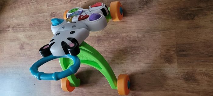 Trotteur zèbre - photo numéro 2