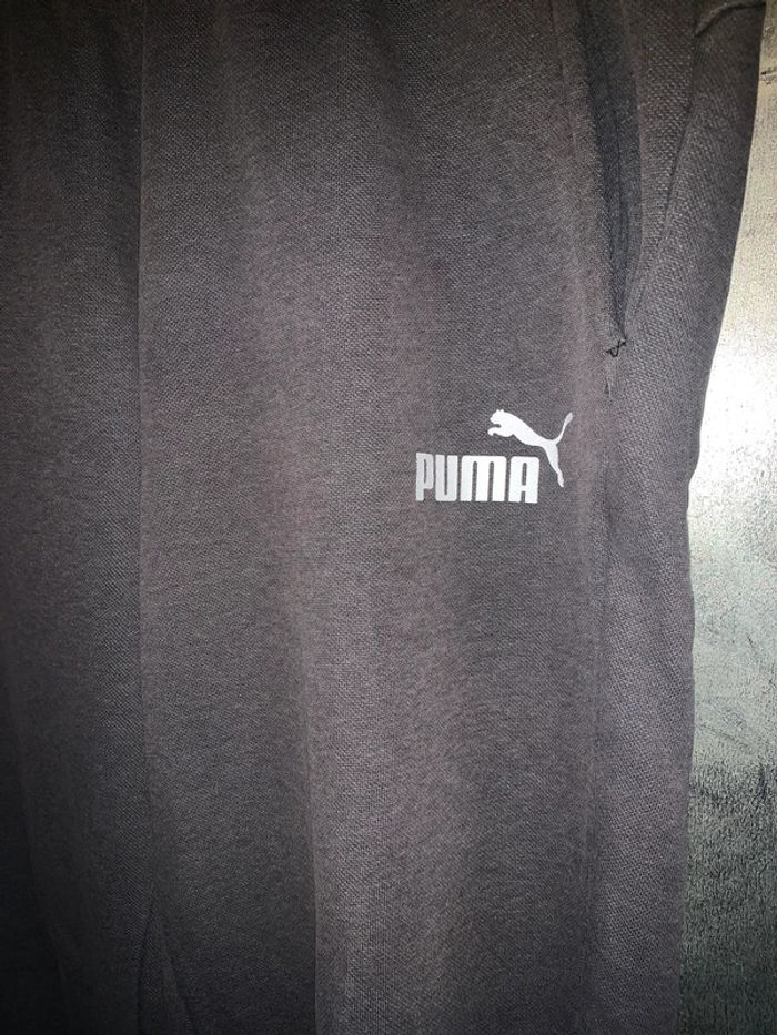 Jogging Puma gris L - photo numéro 2