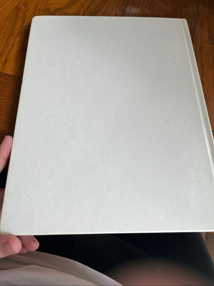 Livre Disney millénaire mon album 2000 - photo numéro 3